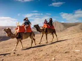 Les plus belles choses à faire au Maroc lors d’un voyage sur mesure